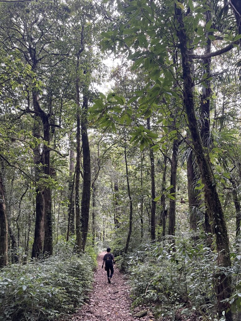 hike-mount-catur-in-bali