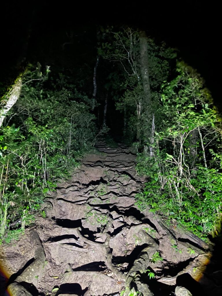 hiking-moun t-agung