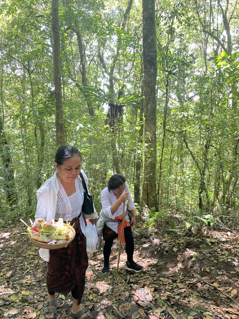 hiking-mount-catur-in-bali