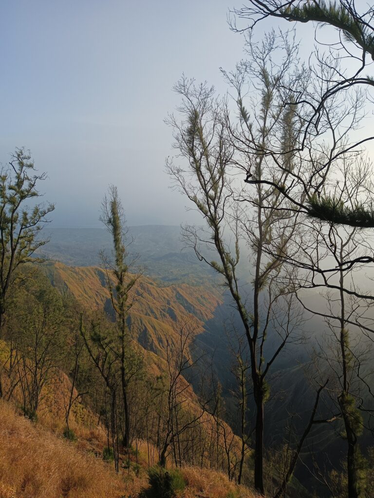 mount-abang-best-mountain-to-hike-in-bali
