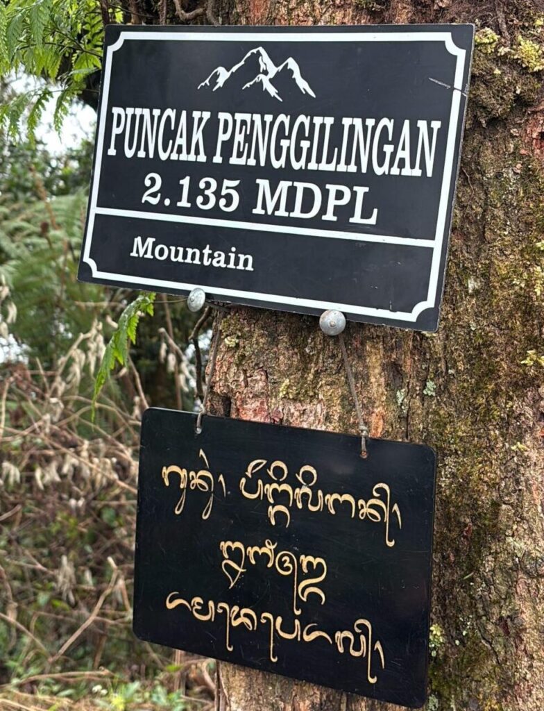 mount-catur-elevation